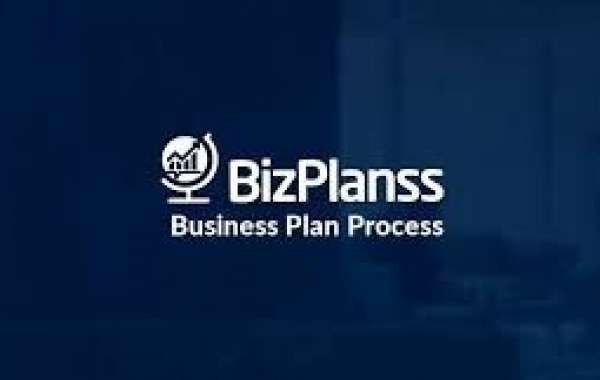 Business Plan writing And Consultant Services