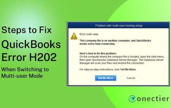 What are the Possible Causes Behind QuickBooks Error H202?