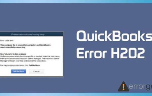 Quickbooks error h202