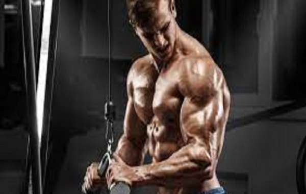 7 Best Testosterone Booster Supplements