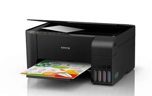 Epson Printer In Error State