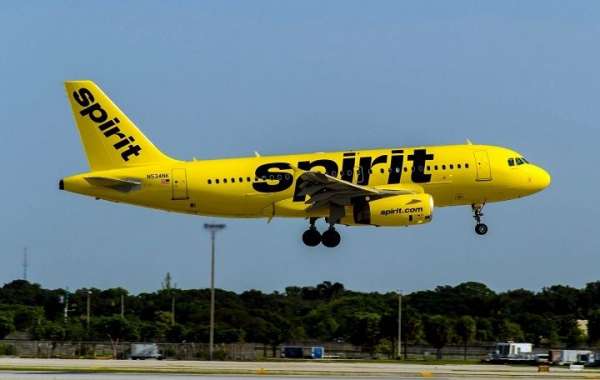 ¿Cómo evito los cargos por cancelación de Spirit Airlines?