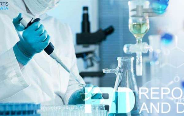 Diisobutyl Adipate Market Detailed Analysis and Growth Strategies, Regional Trend Forecast till 2028