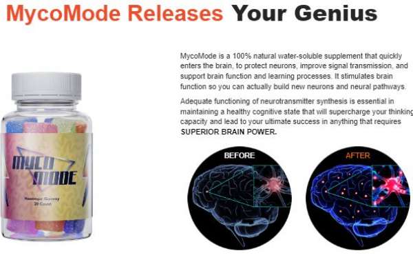Myco Mode Brain Booster Review: Myco Mode Results & How Long Does It Last?