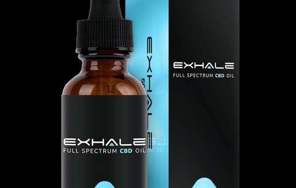Just Check Out Key Details About CBD Tincture