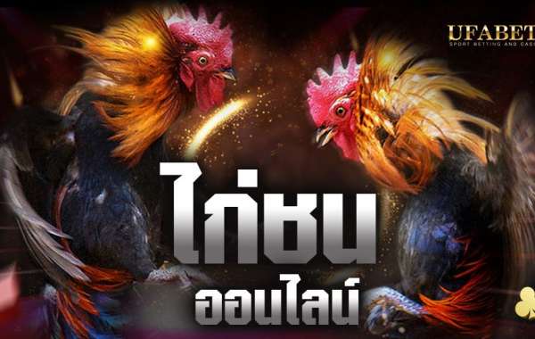 ไก่ชนออนไลน์ ไก่เก่งที่สุดในประเทศไทย ufabet123s.com จัดมาให้เล่นทุกวัน