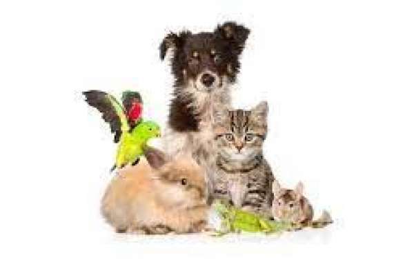 Pet Assumption Anything from fleas to pollen to food can leave your dog or cat itchy and sneezing.