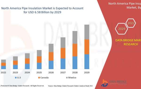 Pipe Insulation Market Size & Share Report, 2029