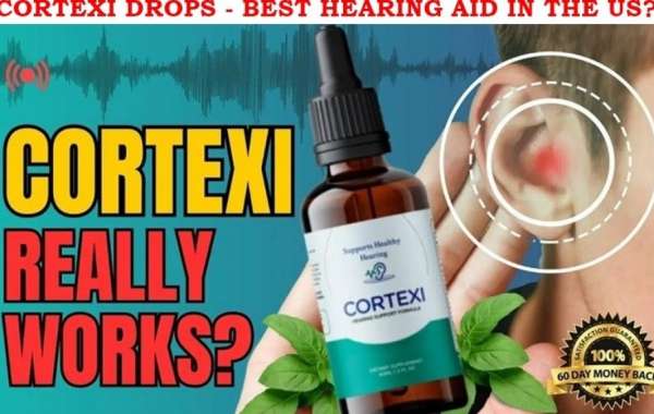 Why Cortexi Reviews Had Been So Popular Till Now?