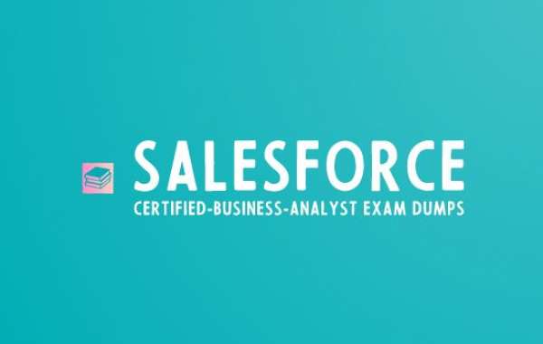 Learn Salesforce Practical Study Guide: Salesforce Certified Business Analyst exam