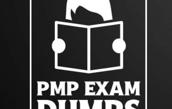 PMP Dumps of challenge manager Procurement management terms