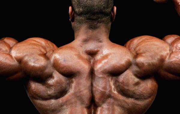 Maximizing Muscle Gains: The Ultimate Sustanon Deca Primobolan Cycle Guide