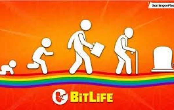 Have you ever played Bitlife game?