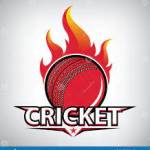 cricket games Profile Picture