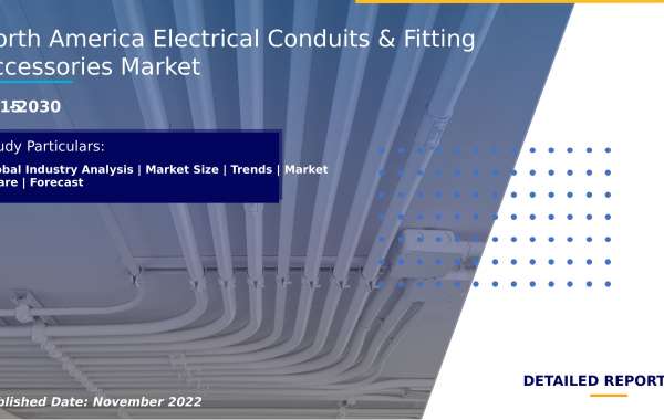 Electrical Conduits & Fitting Accessories Market Comprehensive Study and Global Analysis by 2030
