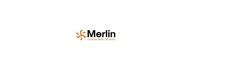 Merlin ERD limited Cover Image