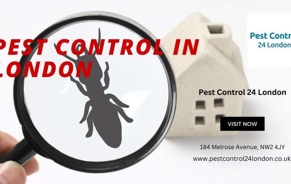 Keeping the Buzz at Bay: Effective Pest Control in London