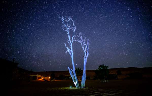 Celestial Rhapsodies: Meteor Showers Painting Oman’s Desert Sky