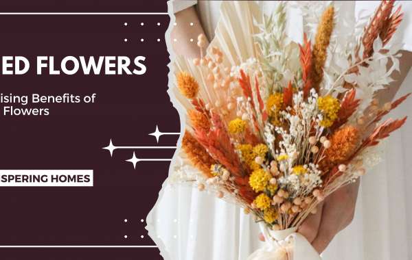 Exploring the Surprising Benefits of Dried Flowers