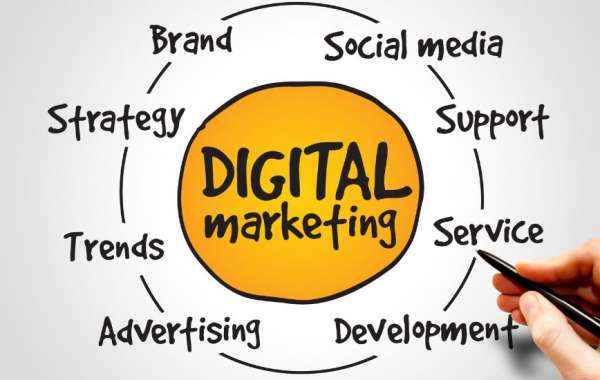 Boost Your Business with a Digital Marketing Agency in Noida