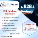 B2B data base provider in india Profile Picture