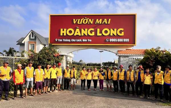 Làm sao cho hoa mai nở đúng Tết