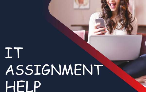 The Essential Need for IT Assignment Help for College Students 