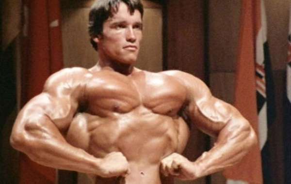 Clash of Titans: Arnold Schwarzenegger vs. Mr. Olympia Champions