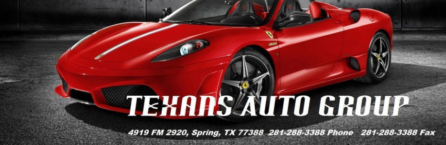 Texans Auto Group Cover Image