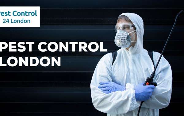 Attention biting and stinging insects: Pest control in London have been unleashed