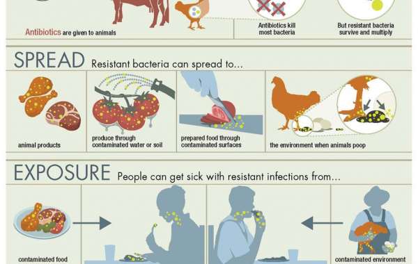 Understanding Antibiotic Resistance in Farming: Implications and Solutions