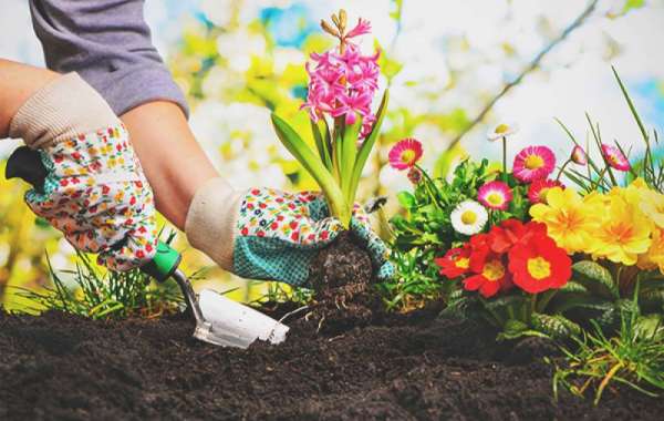 Seasonal Delights: Crafting a Year-Round Garden Paradise