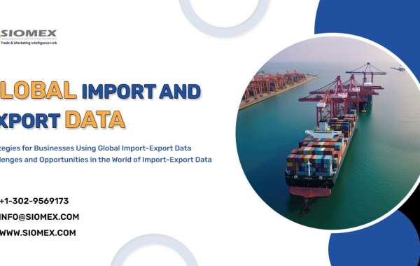 What is the import export process in India?