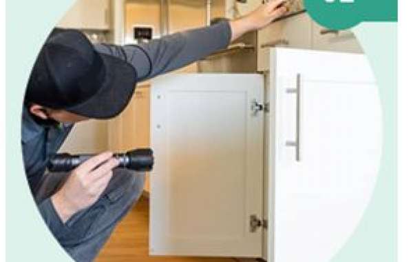 Unveiling the Best Pest Control Solutions in Mahim, Mumbai