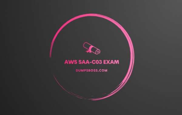 Exam Success Made Easy: The Power of AWS SAA C03 Dumps