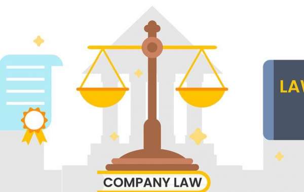 Reliable Company Law Consultant | Master Brains