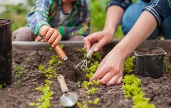 Green Magic: Insider Gardening Tips and Tricks for a Vibrant Garden