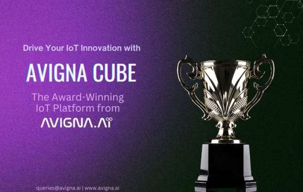 Avigna Cube - How our Award-Winning IoT Platform Empowers IoT Developers and Innovators? – Avigna