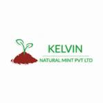 Kelvin Natural Mint Profile Picture