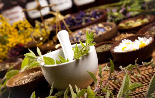 Tout ce que vous devez savoir sur Herbalife: Les bienfaits et les produits