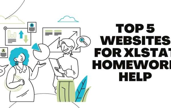 Top 5 Websites for XLSTAT Homework Help