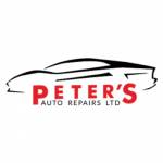 peters auto Profile Picture