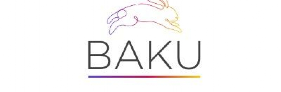 BAKU SOLUTIONS Cover Image