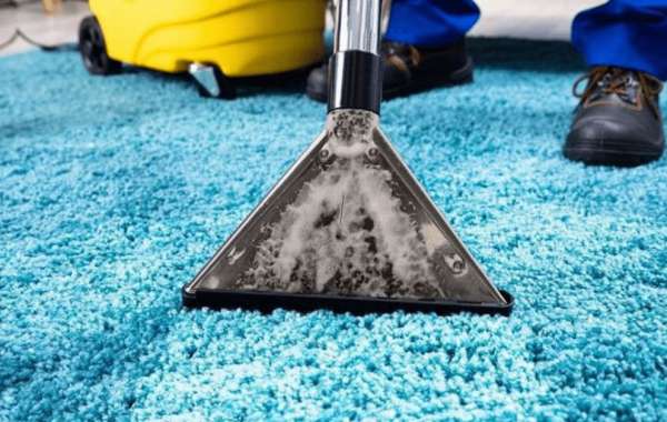 Maximizing Comfort and Hygiene: The Role of Carpet Cleaning in Your Home