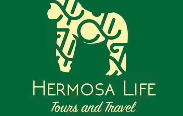 Exploring the Heart of Africa: Unveiling Rwanda’s Wonders with Hermosa Life Tours & Travel