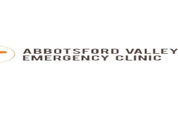 Ensuring Pet Safety: Abbotsford Valley Emergency Clinic's 24/7 Vet Services in Hope and Agassiz