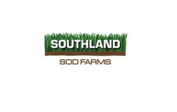 Quality Sod: The Cornerstone of Southland SOD Farms