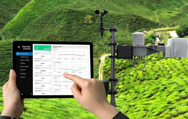 Environmental Monitoring Market Business Strategies, Revenue and Growth Rate Upto 2029