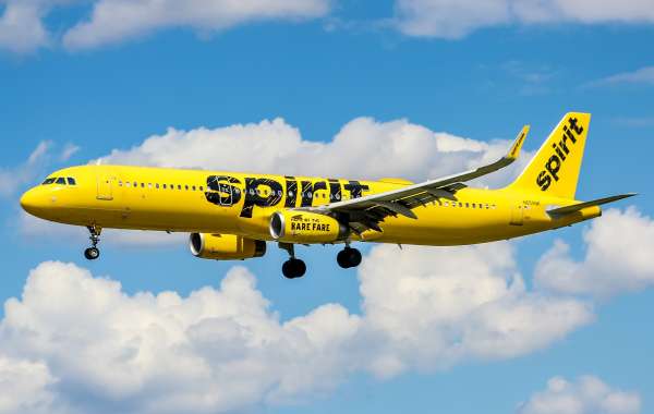 How can I speak to a live person at Spirit Airlines?