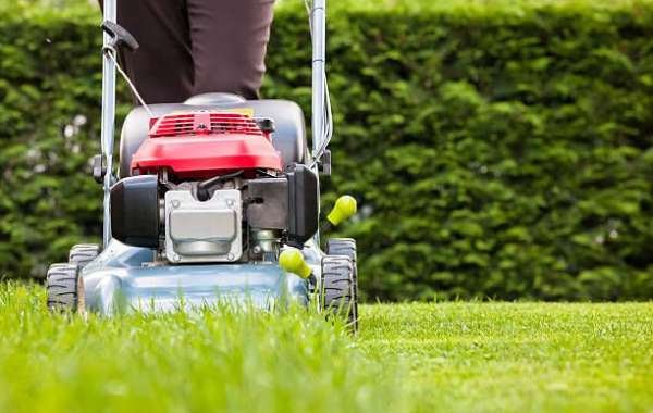 Finding Affordable Lawn Care Services Near You